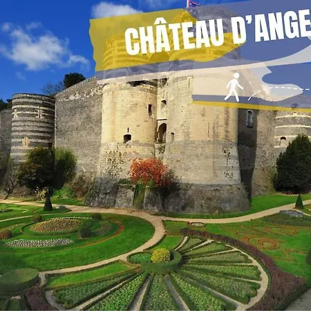 Appart De Charme Hypercentre Angers